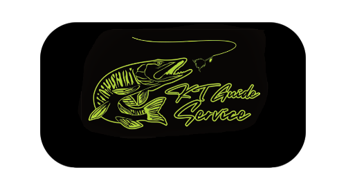 KT Guide Service Logo